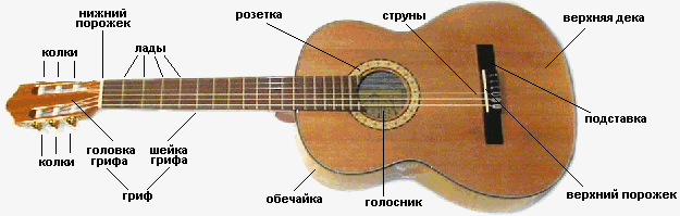 Обечайка для гитары своими руками Обечайка для гитары своими руками